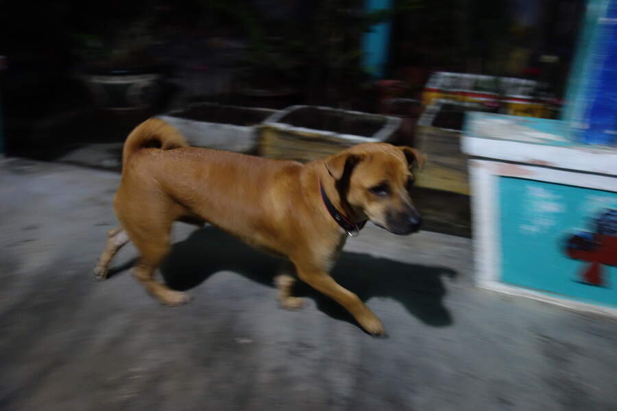 DSC03130