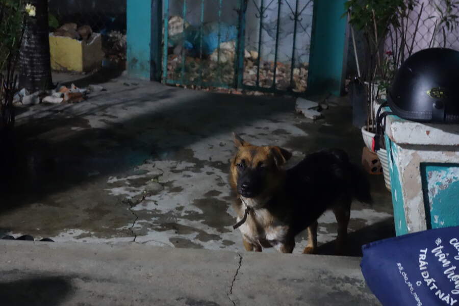 DSC03147