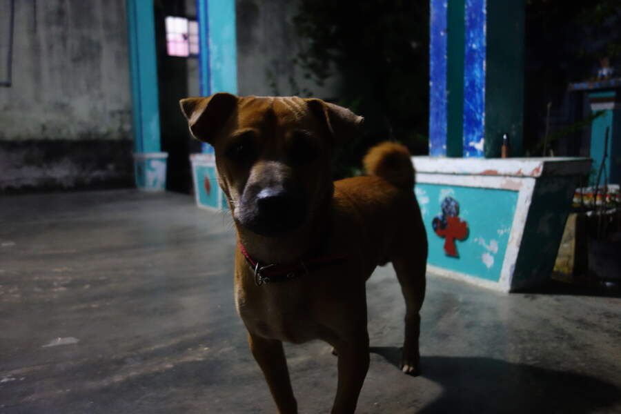 DSC03150