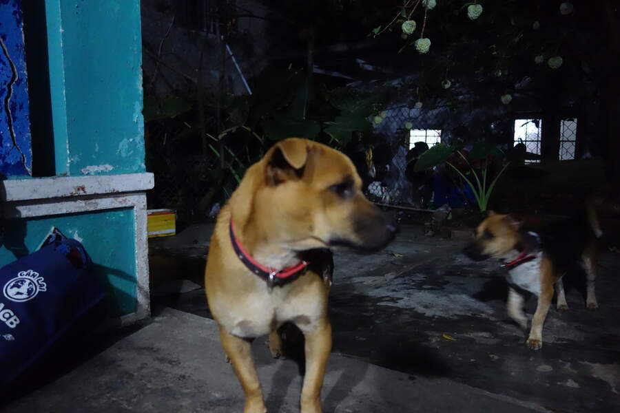 DSC03152