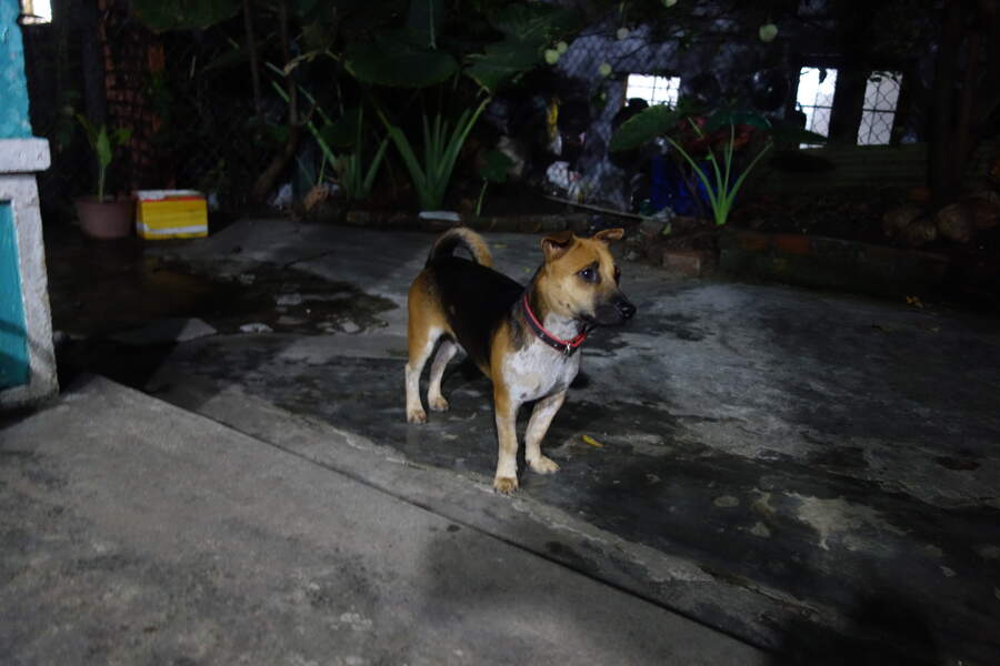 DSC03157