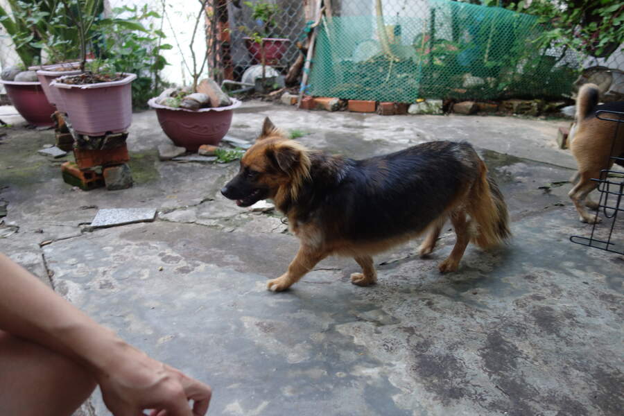 DSC03585