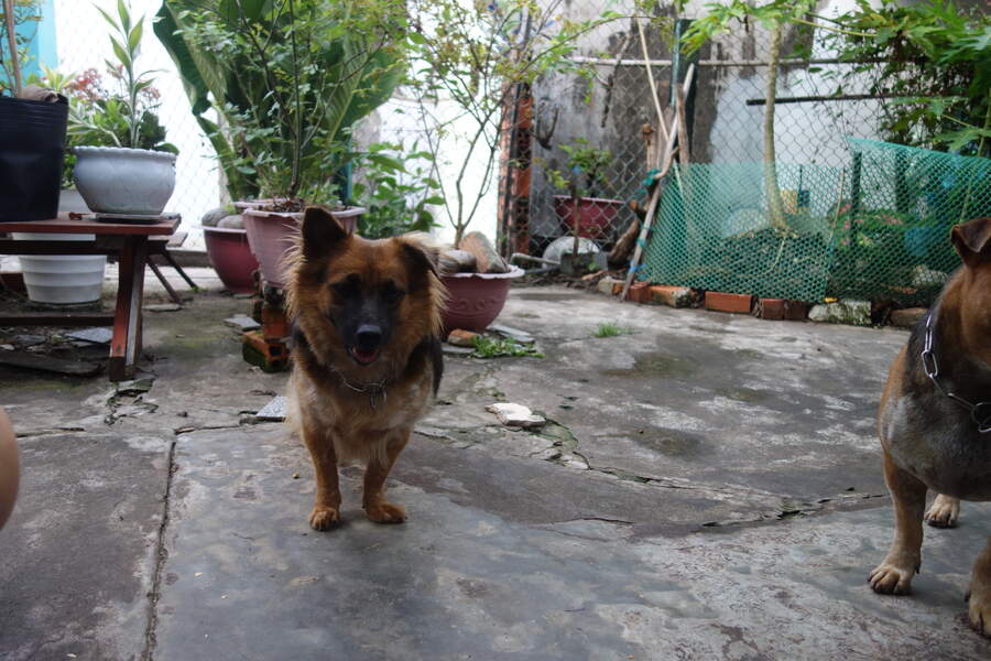 DSC03587