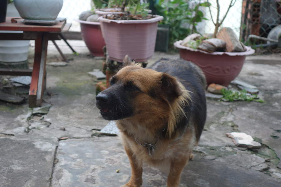 DSC03590