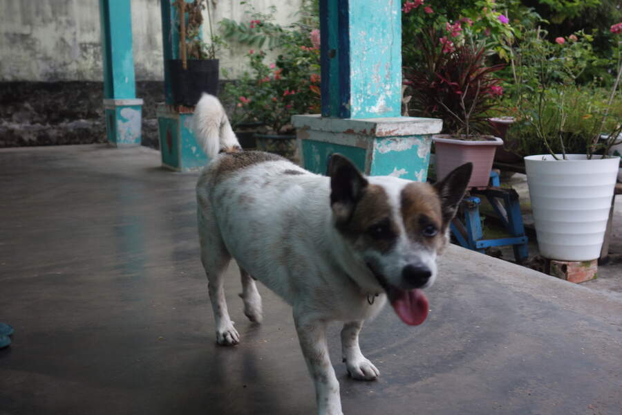 DSC03607