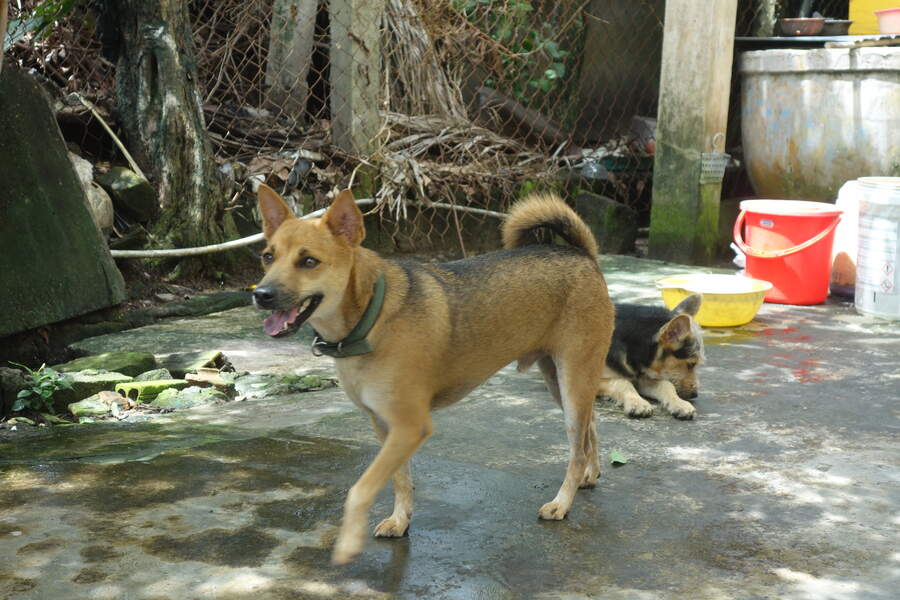DSC03676