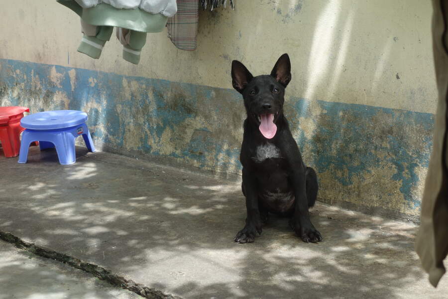 DSC03698