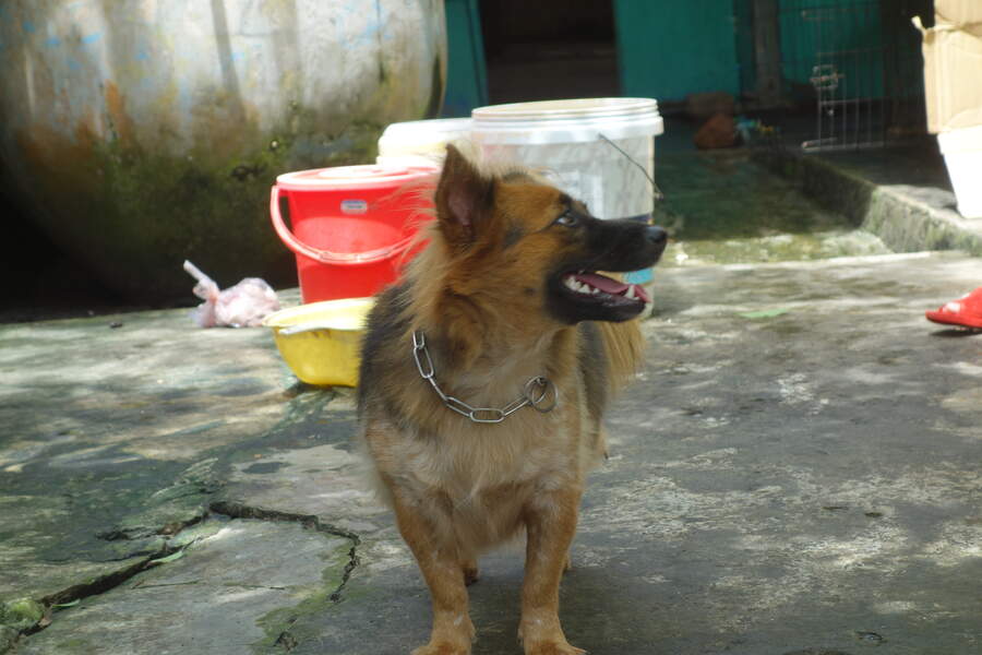 DSC03710