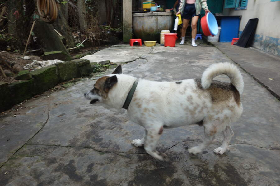 DSC03761