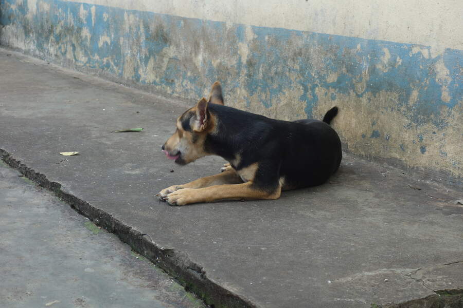 DSC03764